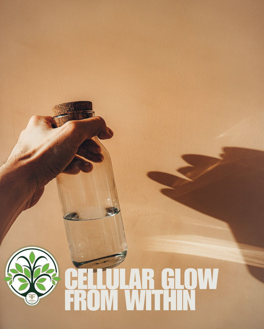 Synergize: The Daily Formula to Fuel Your Body, Balance Your Hormones, and Build Resilience